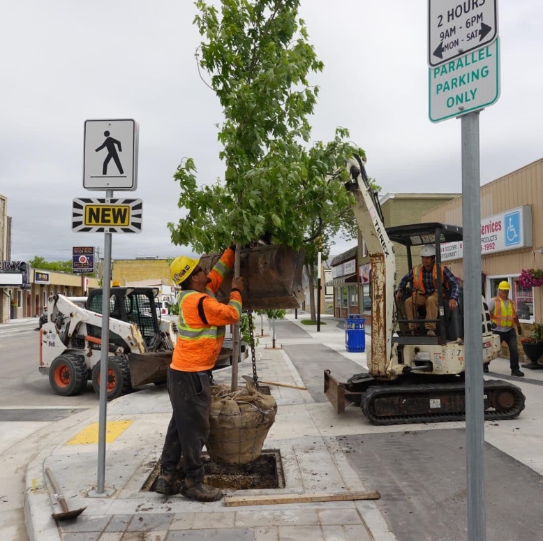 urban-forestry