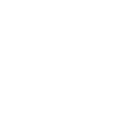single-network-icon