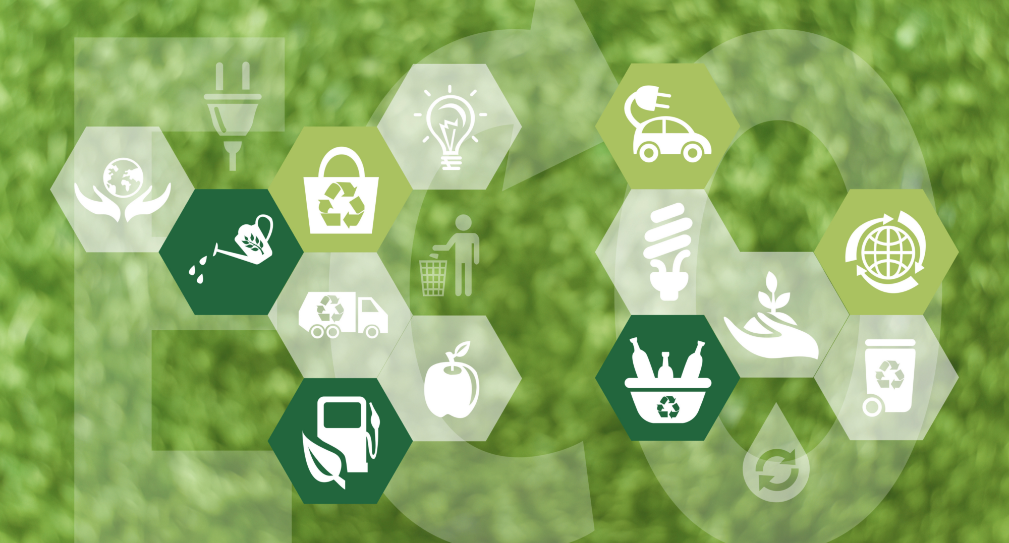 sustainability-is-a-verb