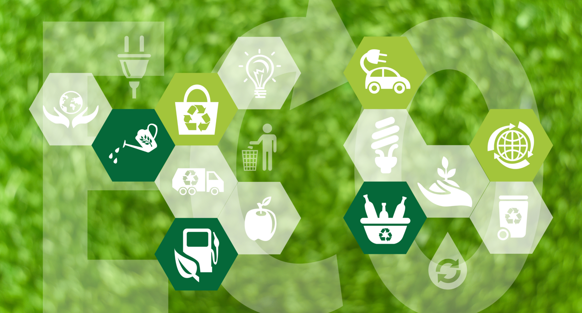 sustainability-is-a-verb
