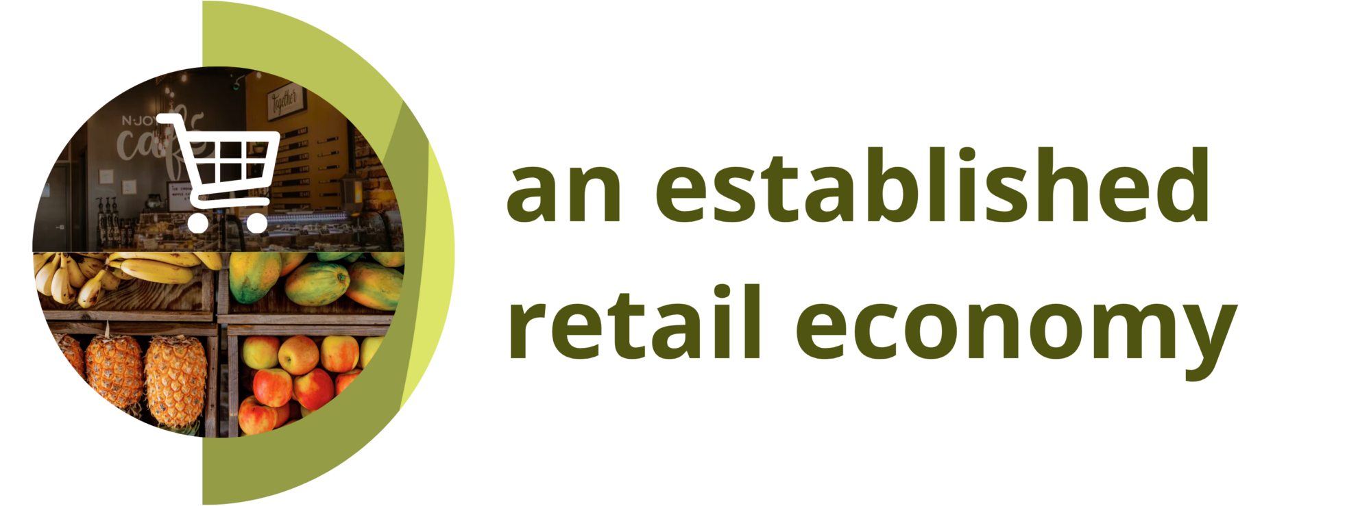 an-established-retail-economy-icon-title