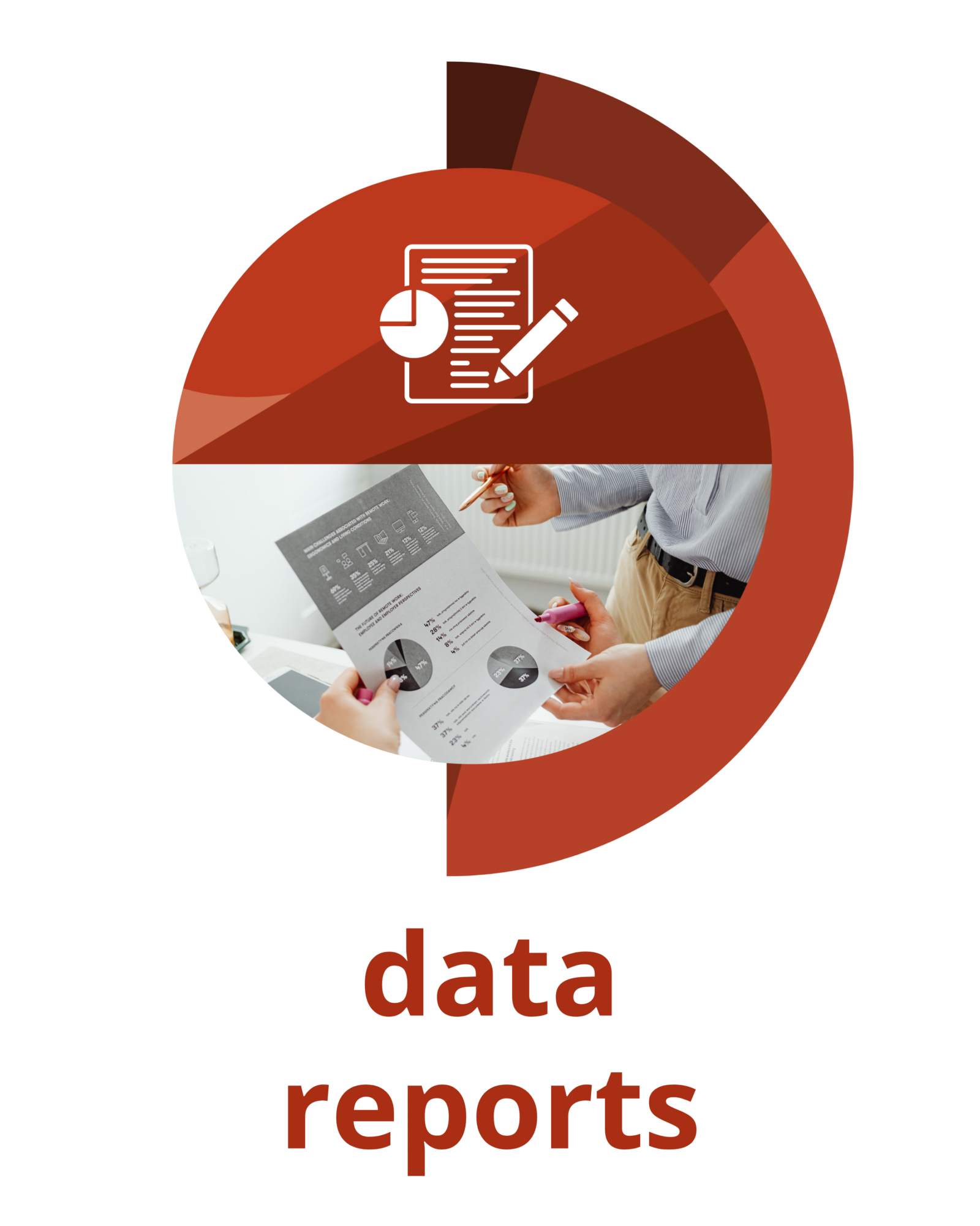 data-reports-icon