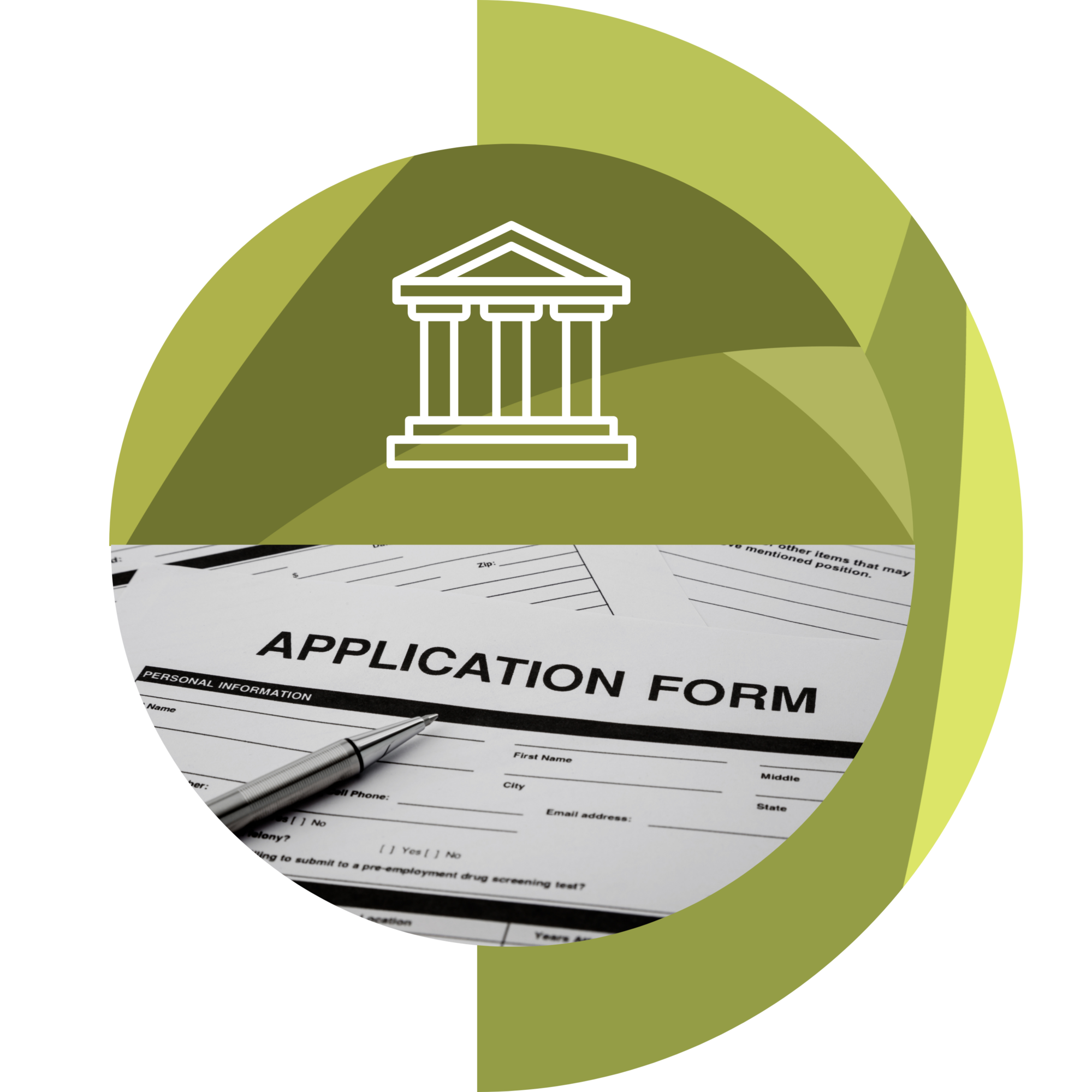 government-supports-icon (1)